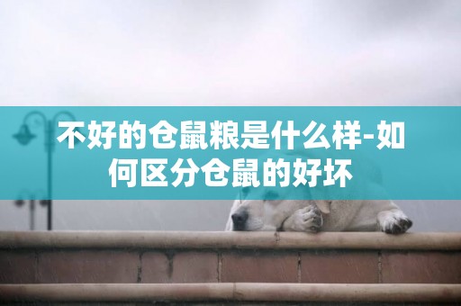 不好的倉鼠糧是什么樣-如何區分倉鼠的好壞