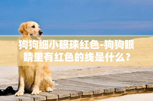 狗狗細小眼球紅色-狗狗眼睛里有紅色的線是什么？