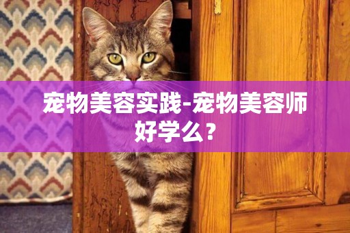 寵物美容實踐-寵物美容師好學么？