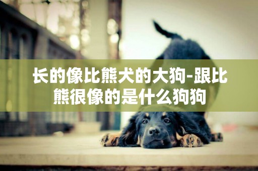 長的像比熊犬的大狗-跟比熊很像的是什么狗狗