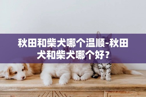 秋田和柴犬哪個溫順-秋田犬和柴犬哪個好？