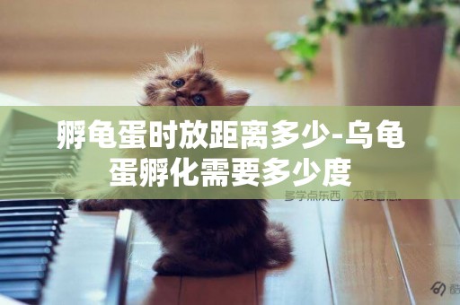 孵龜蛋時放距離多少-烏龜蛋孵化需要多少度