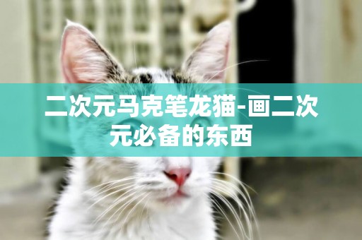 二次元馬克筆龍貓-畫二次元必備的東西