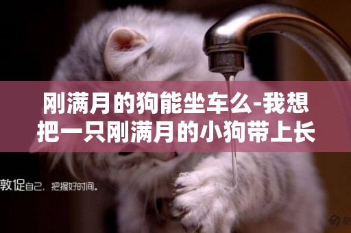 剛滿月的狗能坐車么-我想把一只剛滿月的小狗帶上長途汽車，怎么才能帶上車啊