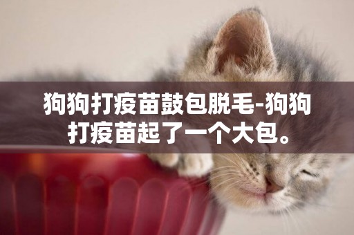 狗狗打疫苗鼓包脫毛-狗狗打疫苗起了一個大包。