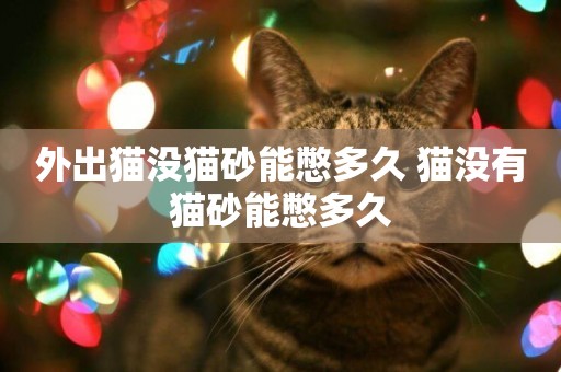 外出貓沒貓砂能憋多久 貓沒有貓砂能憋多久
