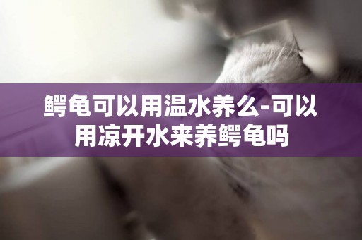 鱷龜可以用溫水養么-可以用涼開水來養鱷龜嗎