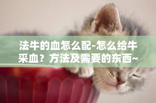 法牛的血怎么配-怎么給牛采血？方法及需要的東西~