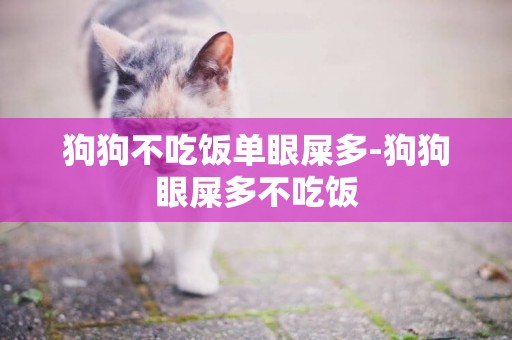 狗狗不吃飯單眼屎多-狗狗眼屎多不吃飯