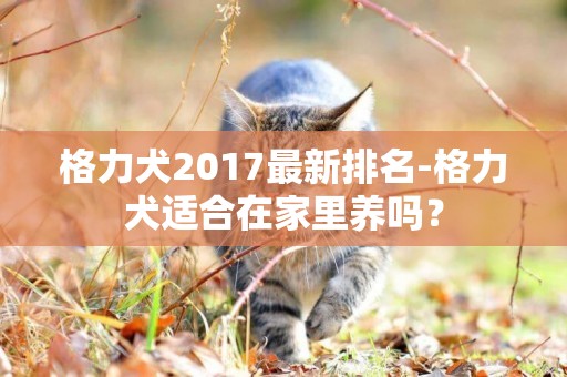 格力犬2017最新排名-格力犬適合在家里養嗎？