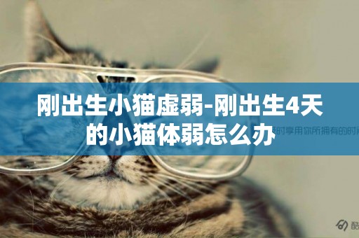 剛出生小貓虛弱-剛出生4天的小貓體弱怎么辦