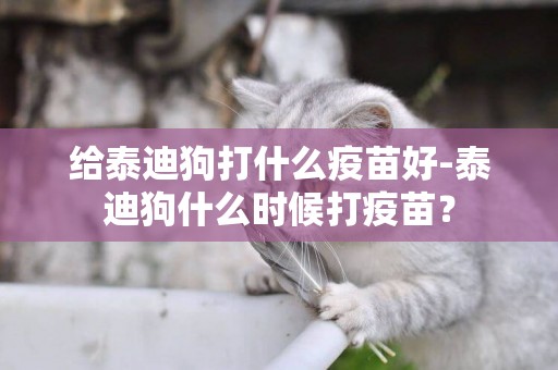 給泰迪狗打什么疫苗好-泰迪狗什么時候打疫苗？
