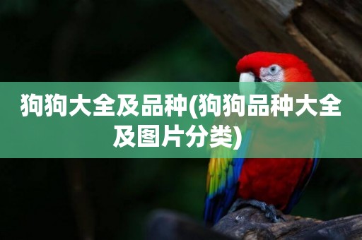 狗狗大全及品種(狗狗品種大全及圖片分類) 