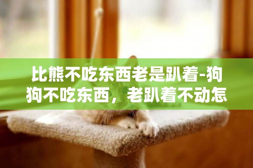 比熊不吃東西老是趴著-狗狗不吃東西，老趴著不動怎么辦