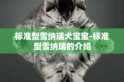 標準型雪納瑞犬寶寶-標準型雪納瑞的介紹
