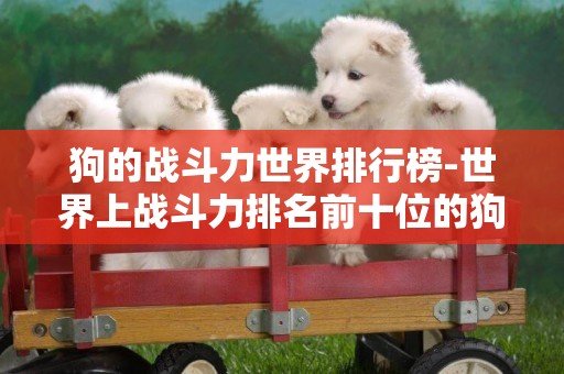 狗的戰斗力世界排行榜-世界上戰斗力排名前十位的狗是什么狗