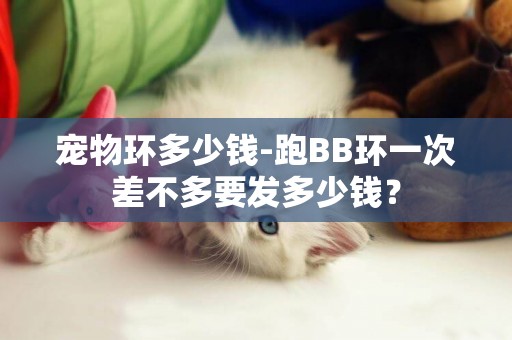 寵物環多少錢-跑BB環一次差不多要發多少錢? 寵物環多少錢-跑BB環一次差不多要發多少錢?