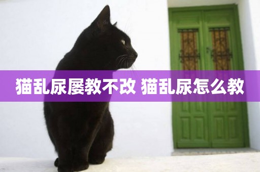 貓亂尿屢教不改 貓亂尿怎么教