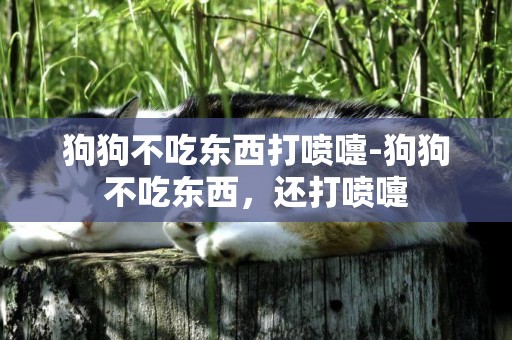 狗狗不吃東西打噴嚏-狗狗不吃東西，還打噴嚏