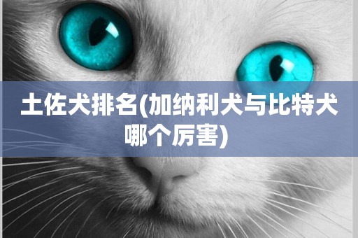 土佐犬排名(加納利犬與比特犬哪個厲害) 