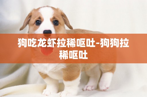 狗吃龍蝦拉稀嘔吐-狗狗拉稀嘔吐