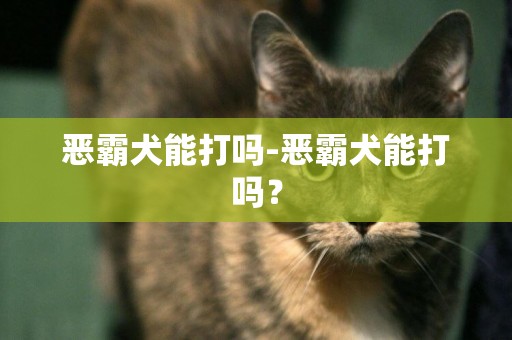 惡霸犬能打嗎-惡霸犬能打嗎？
