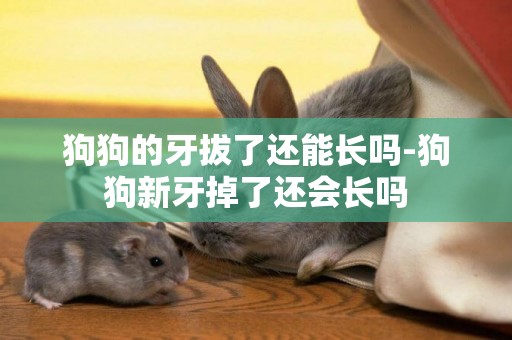 狗狗的牙拔了還能長嗎-狗狗新牙掉了還會長嗎