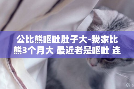 公比熊嘔吐肚子大-我家比熊3個月大 最近老是嘔吐 連續吐啦兩天 但是不拉肚子 應該不是細小吧