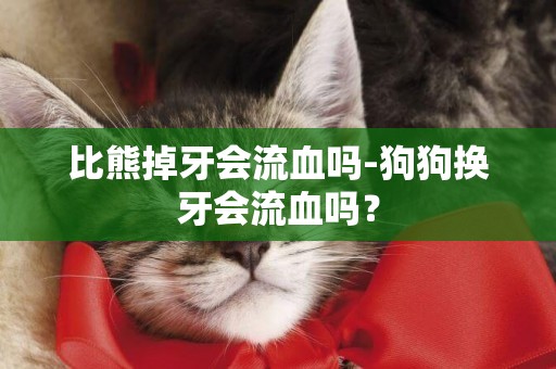 比熊掉牙會流血嗎-狗狗換牙會流血嗎？