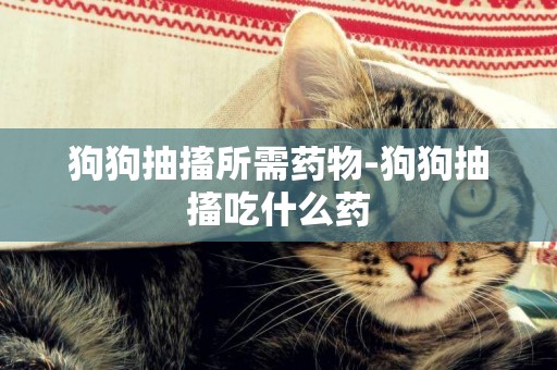 狗狗抽搐所需藥物-狗狗抽搐吃什么藥