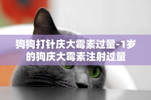 狗狗打針慶大霉素過量-1歲的狗慶大霉素注射過量