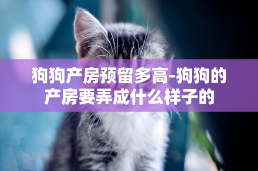 狗狗產房預留多高-狗狗的產房要弄成什么樣子的