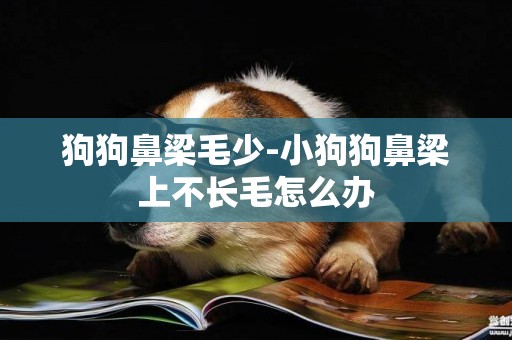 狗狗鼻梁毛少-小狗狗鼻梁上不長毛怎么辦