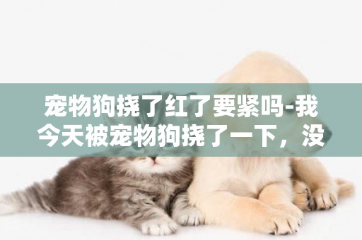 寵物狗撓了紅了要緊嗎-我今天被寵物狗撓了一下，沒出血，但傷口處一直紅著，還有一點腫起，會得狂犬病嗎？