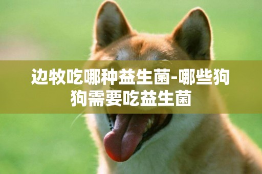 邊牧吃哪種益生菌-哪些狗狗需要吃益生菌