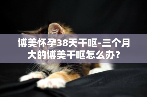 博美懷孕38天干嘔-三個月大的博美干嘔怎么辦？
