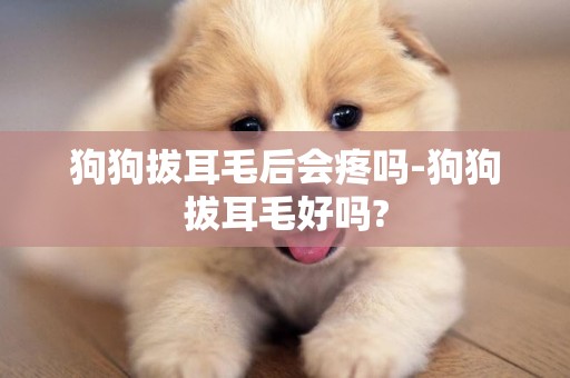 狗狗拔耳毛后會疼嗎-狗狗拔耳毛好嗎?