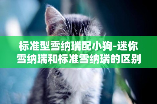 標準型雪納瑞配小狗-迷你雪納瑞和標準雪納瑞的區別