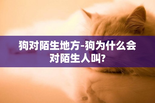 狗對陌生地方-狗為什么會對陌生人叫?