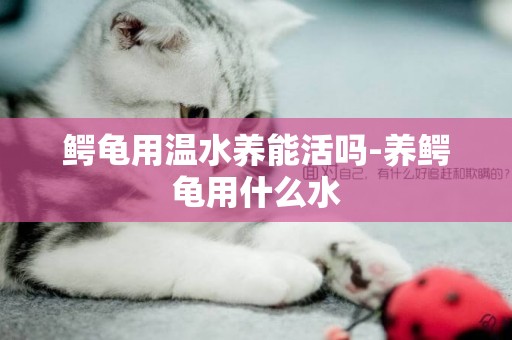 鱷龜用溫水養能活嗎-養鱷龜用什么水