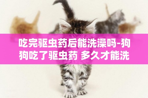 吃完驅蟲藥后能洗澡嗎-狗狗吃了驅蟲藥 多久才能洗澡打疫苗