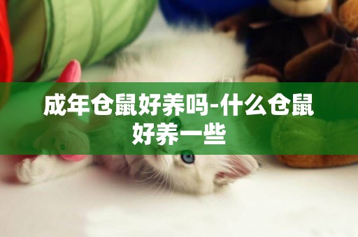 成年倉鼠好養嗎-什么倉鼠好養一些