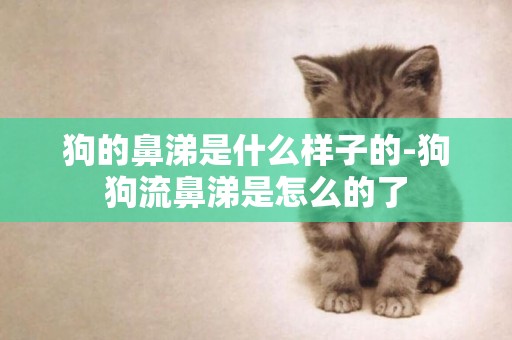狗的鼻涕是什么樣子的-狗狗流鼻涕是怎么的了