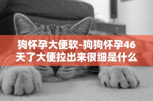 狗懷孕大便軟-狗狗懷孕46天了大便拉出來很細是什么原因?