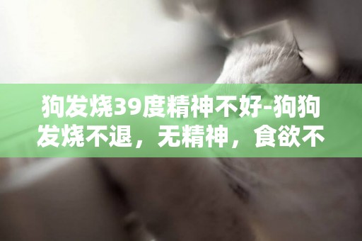 狗發燒39度精神不好-狗狗發燒不退，無精神，食欲不振