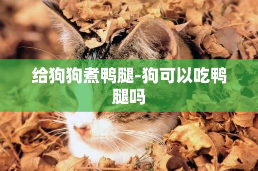 給狗狗煮鴨腿-狗可以吃鴨腿嗎