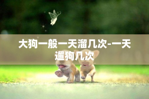 大狗一般一天溜幾次-一天遛狗幾次