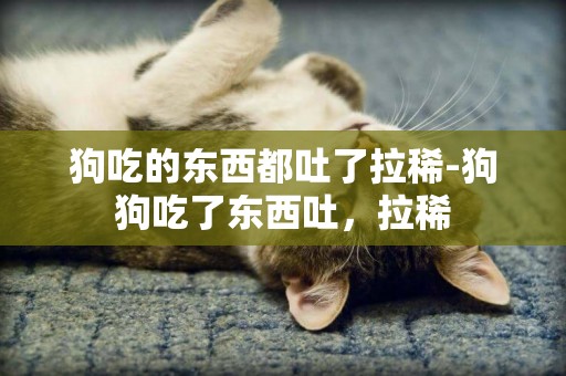 狗吃的東西都吐了拉稀-狗狗吃了東西吐，拉稀