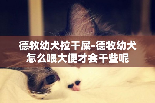 德牧幼犬拉干屎-德牧幼犬怎么喂大便才會干些呢