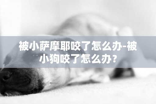 被小薩摩耶咬了怎么辦-被小狗咬了怎么辦？